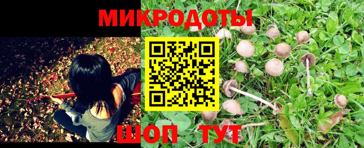 Ишим  Галлюциногенные грибы мицелий  Вход с VPN 